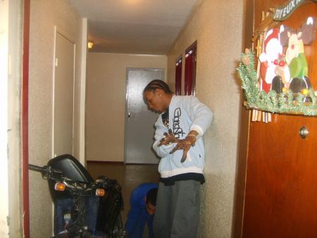 DJEDYE AND NILSON
